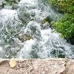 La Casuna De La Lantställe