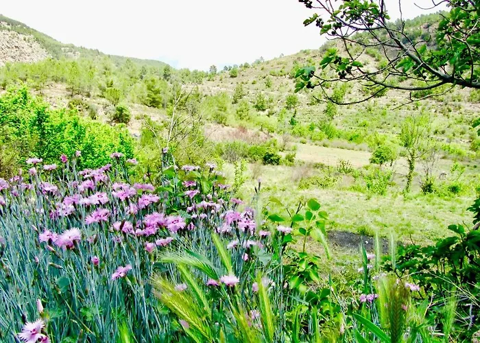 La Casuna De La Olba